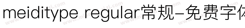 meiditype regular常规字体转换